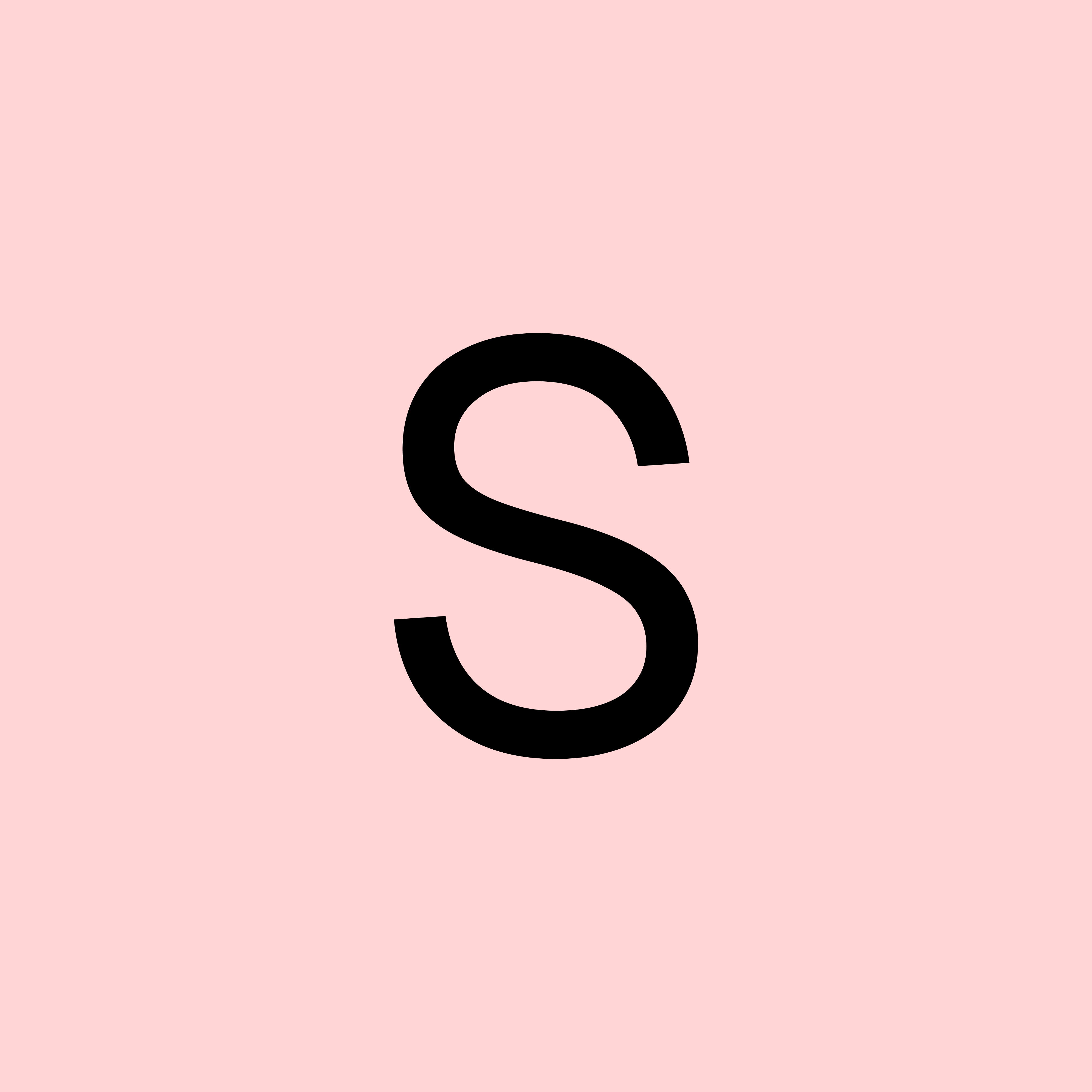 Safiya Tarazi - Business Strategy